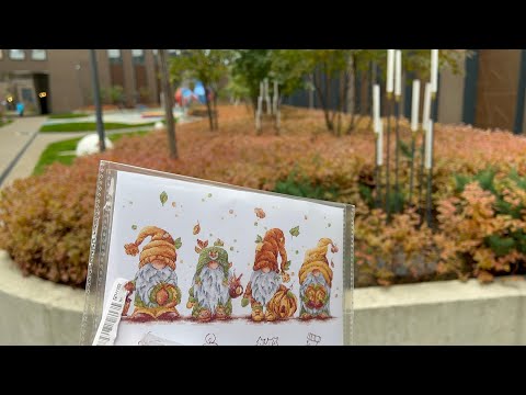 Видео: 1-12 октября. Завершение СП «Со вкусом»