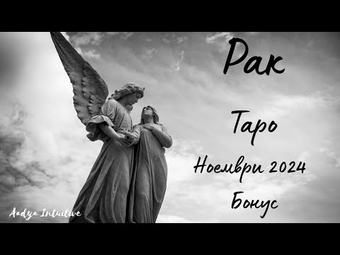 Видео: Рак ♋ Таро 🌻 Бъдете вдъхновение! Ноември Бонус'24