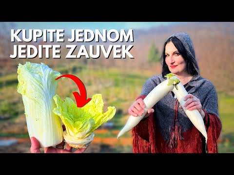 Видео: Как РАЗМНОЖИТЬ РАСТЕНИЯ, которые вы купили для еды?