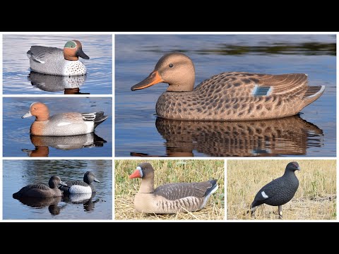 Видео: Самые народные чучела для охоты на уток и гусей!