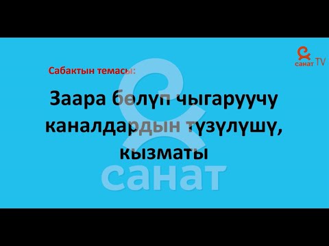 Видео: Биология 8 класс 46 сабак