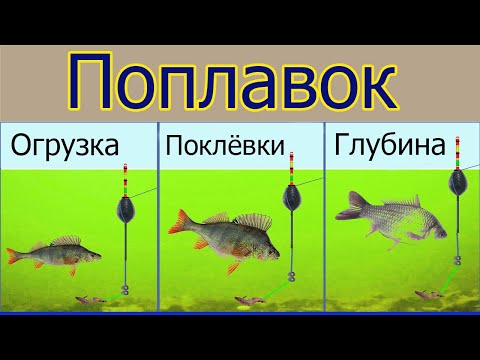 Видео: Любительская Оснастка Поплавочной Удочки. ОГРУЗКА поплавка, ПОКЛЁВКИ, Глубина. fishing. Рыбалка