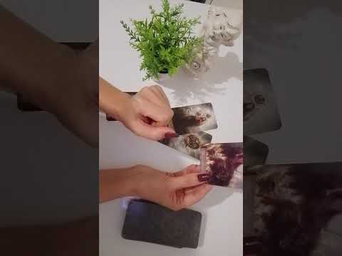 Видео: 🌿♦️ТАРО ДЛЯ МУЖЧИН 💯 ВАЖНО ‼️ ВРЫВАЮТСЯ БОЛЬШИЕ ПЕРЕМЕНЫ 🌿