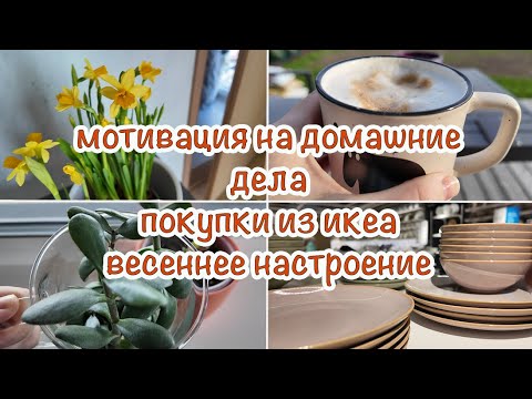 Видео: МОТИВАЦИЯ НА ДОМАШНИЕ ДЕЛА | ПОКУПКИ ИЗ ИКЕА | ВЕСЕННЕЕ НАСТРОЕНИЕ