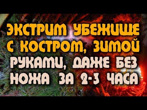 Видео: НОЧЕВКА В ЛЕСУ ЗИМОЙ Выживание - Убежище в лесу - шалаш на выворотне, который не сгорит от костра