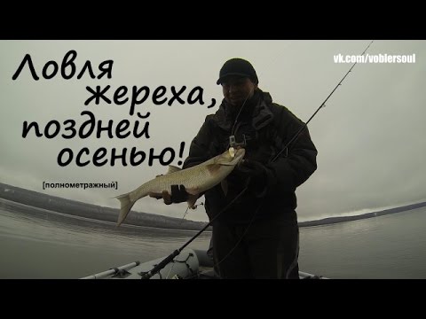 Видео: Ловля жереха спиннингом поздней осенью. Видео отчет ноябрь 2015 г.