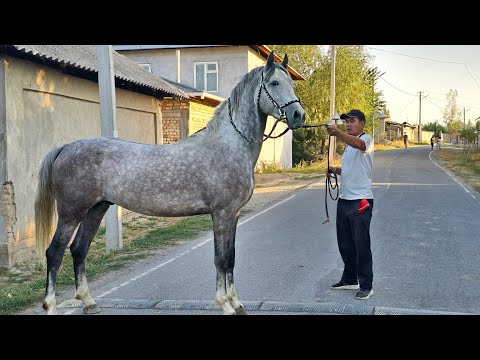 Видео: Океан Соколокто🔥