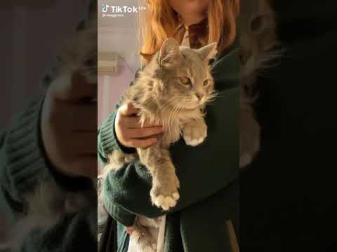 Видео: ~🧚‍♀️🧙‍♀️🧝‍♀️||Видео из ТТ для ведьмочек, травниц, фей||🌑🌺🌾~ Часть 5/?