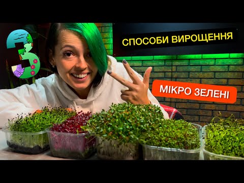 Видео: Вирощування мікрозелені вдома. Від посіву до збору урожаю.