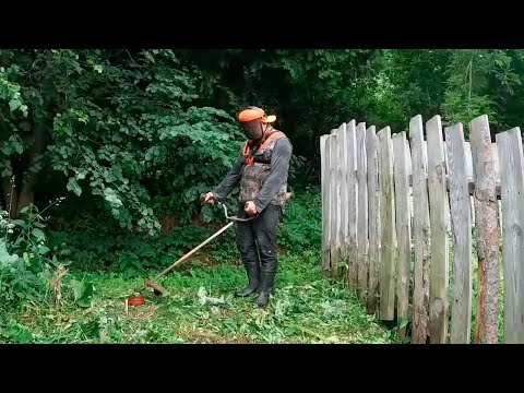 Видео: Пошел косить за забором, а там целая плантация оказывается