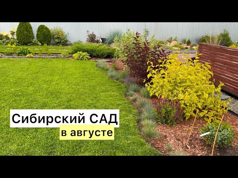 Видео: Большая прогулка по сибирскому саду!