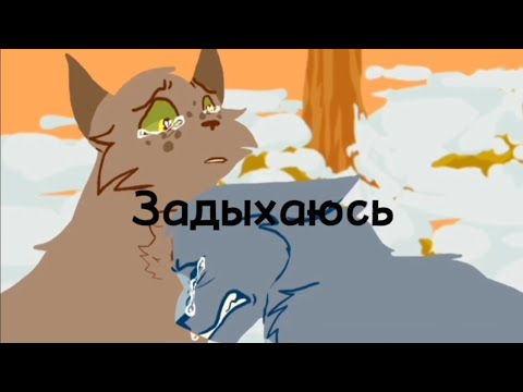 Видео: Коты-Воители Синегривка/Дроздовик клип Задыхаюсь (Синяя Звезда/Дроздовик)