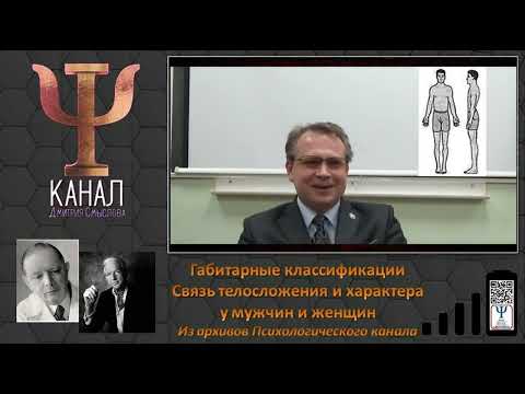 Видео: Габитарные классификации  Связь телосложения и характера у мужчин и женщин