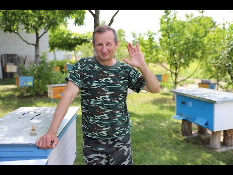 Видео: Состояние нуклеусов в начале августа