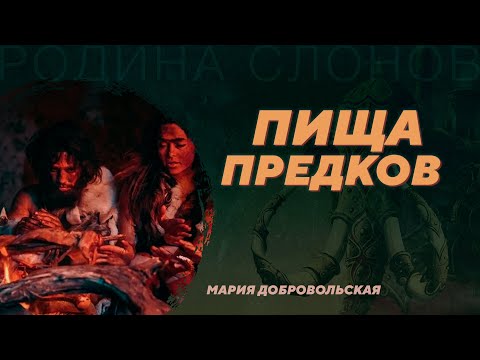 Видео: Пища предков. Мария Добровольская. Родина слонов №2