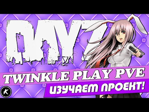 Видео: DAYZ ОБЗОР | ИЗУЧАЕМ ПРОЕКТ TWINKLE PLAY PVE | #dayz