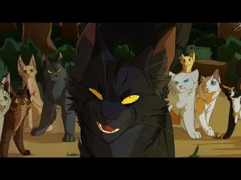 Видео: Частокол: «Кёрт, я тебя люблю»//Коты Воители