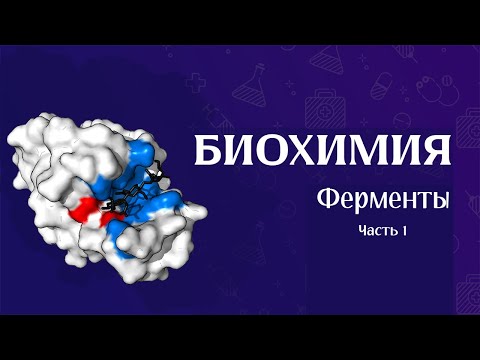 Видео: Биохимия | Ферменты часть 1