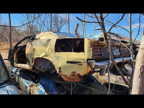 Видео: Испорченный AAR 'Cuda 1970 года на свалке!
