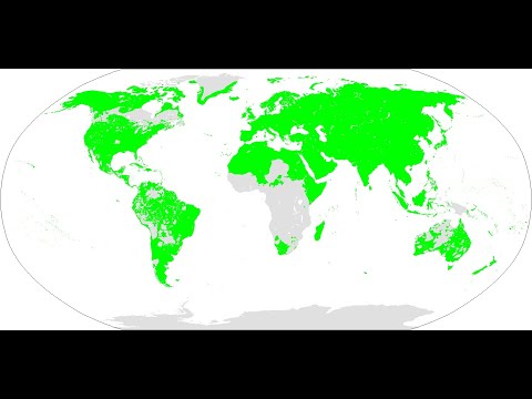 Видео: Бореальный язык и борейские языки