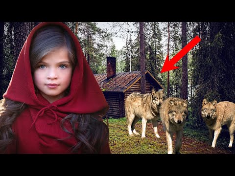 Видео: Нападая на старую бабушку, грабители еще не знали, с кем дружит ее маленькая внучка!