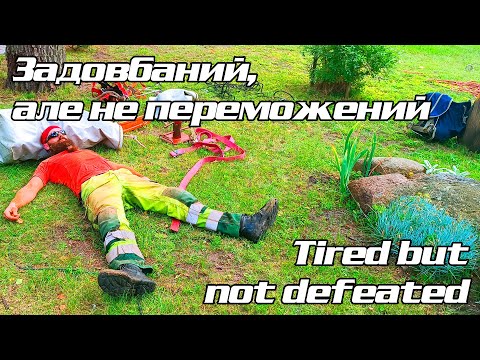 Видео: Сухий, аварійний дуб, стрьомний капець Droughty emergency oak, hazardous work