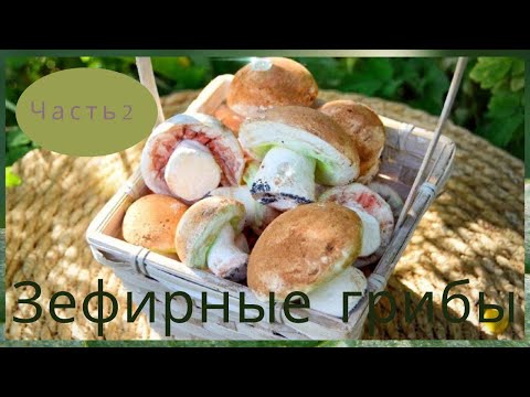 Видео: МК Часть 2🍄 ЗЕФИРНЫЕ ГРИБОЧКИ от Натальи Колбасовой🍄Мarshmallow mushrooms