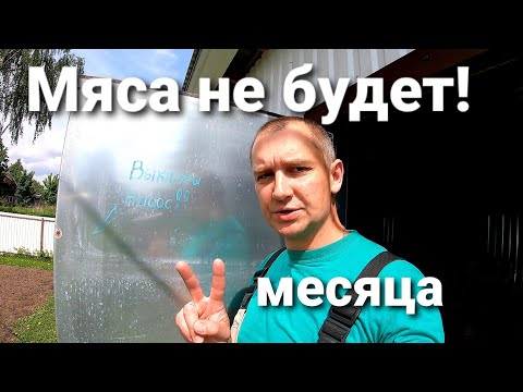 Видео: ВОТ ПОЧЕМУ У НАС НЕ БУДЕТ МЯСА НА ПРОДАЖУ!