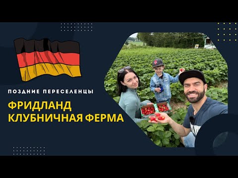 Видео: Поздние переселенцы.  Германия. Фридланд 2024 - Клубничная ферма