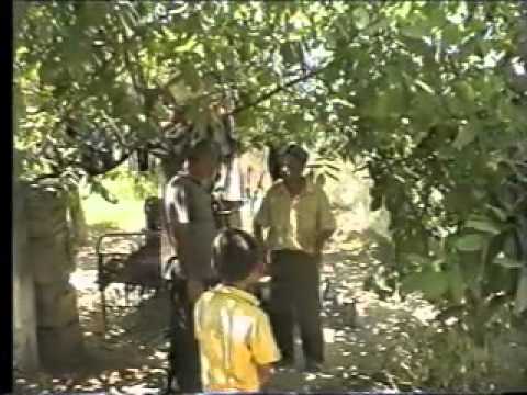 Видео: совхоз 30 лет октября отд№3 (1)