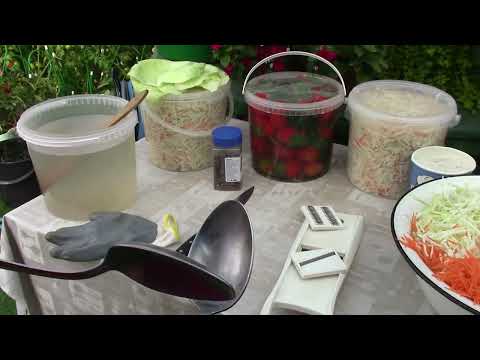 Видео: Квасим капусту