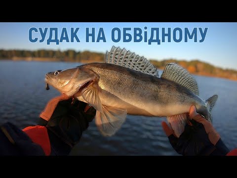 Видео: Шалений КЛЬОВ на Обвідному! Залікові СУДАКИ та гарний БОНУС