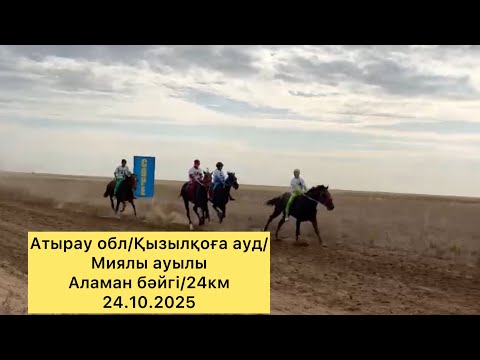 Видео: Атырау обл/Қызылқоға ауд/Миялы ауылы/Аламан бәйгі/24км/24.10.2025