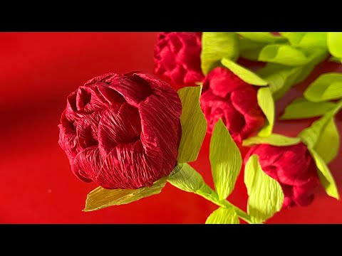 Видео: РОЗА🌹ROSE🌹