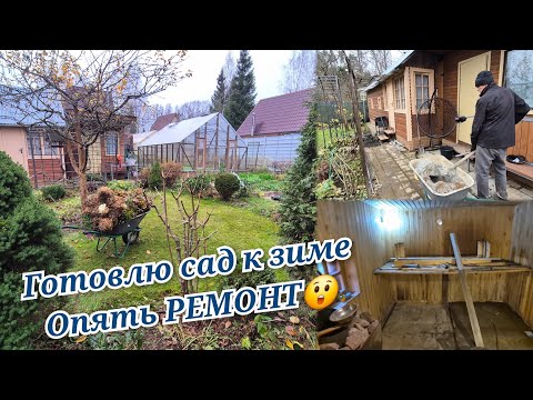 Видео: Готовлю сад к зиме.Обрезка гортензий.Что задумал муж Не ожидала этого