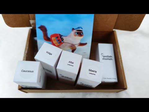 Видео: Последний заказ от Polish molish 😭 Лаки из коллекции Russian Lullaby 🌲🐻 и топы Touch the Sky ✨