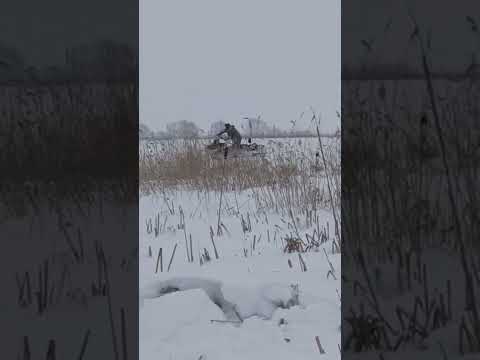 Видео: Самодельный снегоход с двигателем ваз 2108,в болоте по пухляку