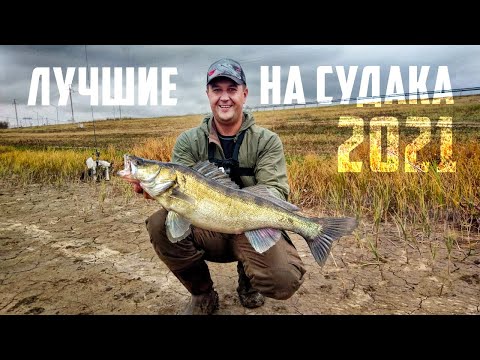 Видео: Собираем коробку приманок на судака - для весны и лета | Мои лучшие приманки на судака за 10 лет