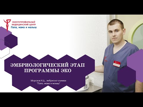 Видео: Эмбриологический этап программы ЭКО