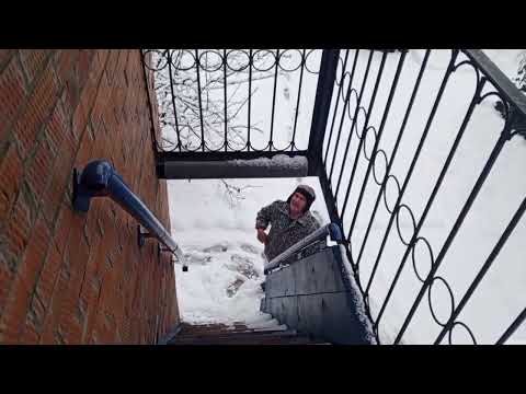 Видео: Пятница пришла в вольный зоопарк 