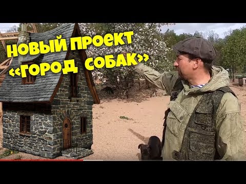 Видео: Новый проект "ГОРОД СОБАК"   Приют для животных "ВЕРНОСТЬ" г. Смоленск.Помощь Животным