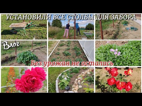 Видео: Установили все столбы для забора. Без урожая не остались. ОБУСТРОЙСТВО И ЖИЗНЬ В НОВОМ ДОМЕ 🏡