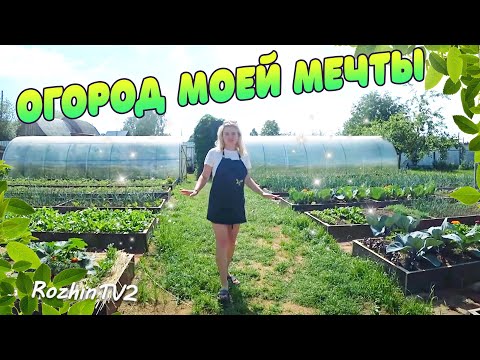 Видео: Мой огород МЕЧТЫ 2021 года в деревне / Что растет на огороде / Жизнь в деревне