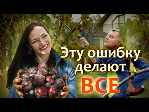 Видео: Главная причина, почему сад не слушается: ошибка, которую совершают все!