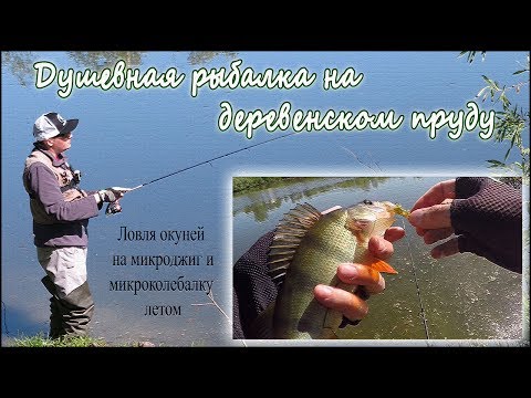 Видео: Ультралайт на пруду. Душевная рыбалка в деревне. Ловля окуня. Микроджиг. Микроколебалка.