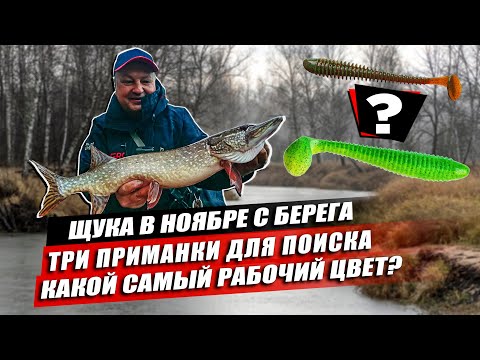 Видео: Где и на что ловить щуку в ноябре на спиннинг? Какие приманки и проводку использовать с берега?