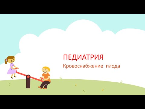 Видео: Кровоснабжение плода и новорожденного