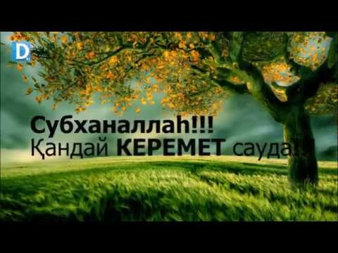Видео: Керемет сауда!