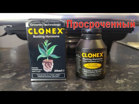 Видео: Как сработал просроченный "Clonex" гель.