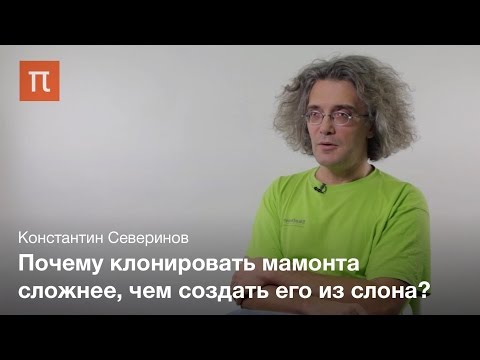 Видео: Технология клонирования животных — Константин Северинов